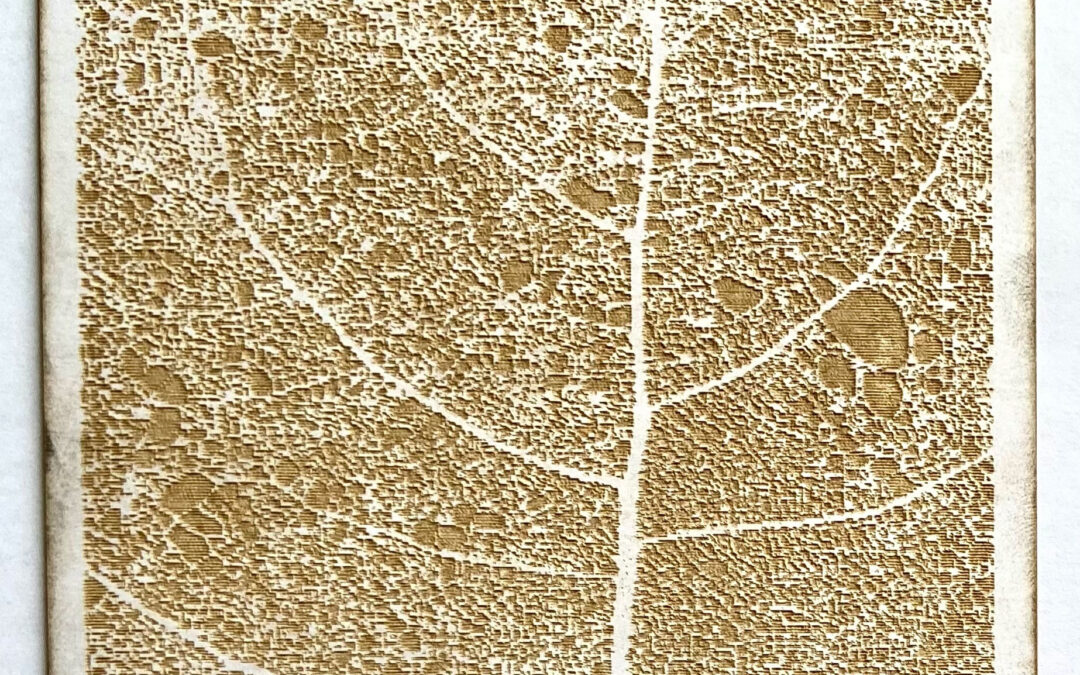 VACMA Engraved Leaf